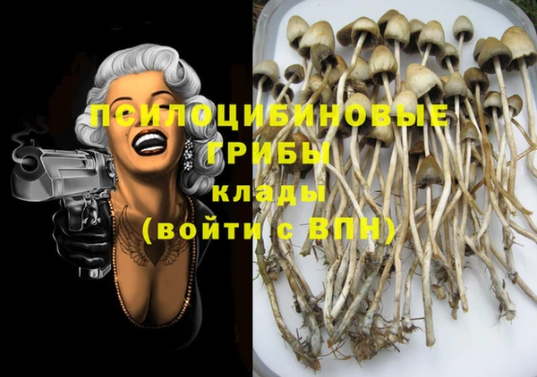 прущая мука Гусев