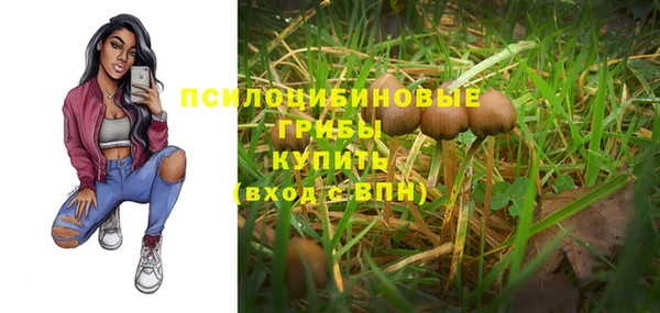 ECSTASY Зуевка