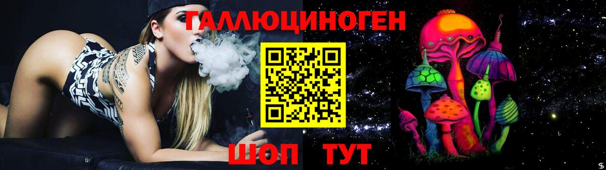 Галлюциногенные грибы Psilocybe Обь