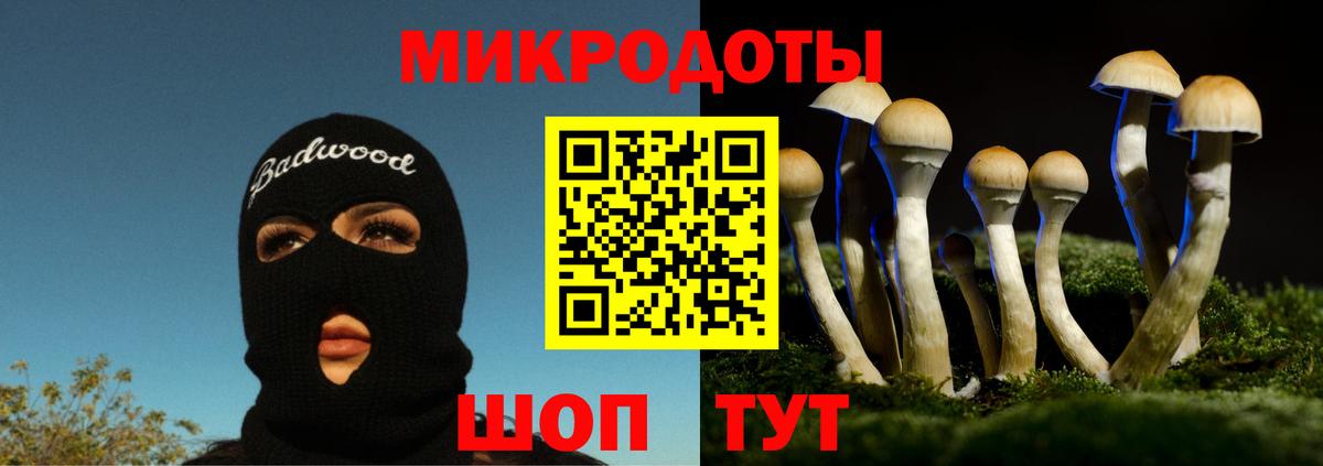 Обь  Галлюциногенные грибы Cubensis  Псилоцибиновые грибы GOLDEN TEACHER  Вход с VPN 