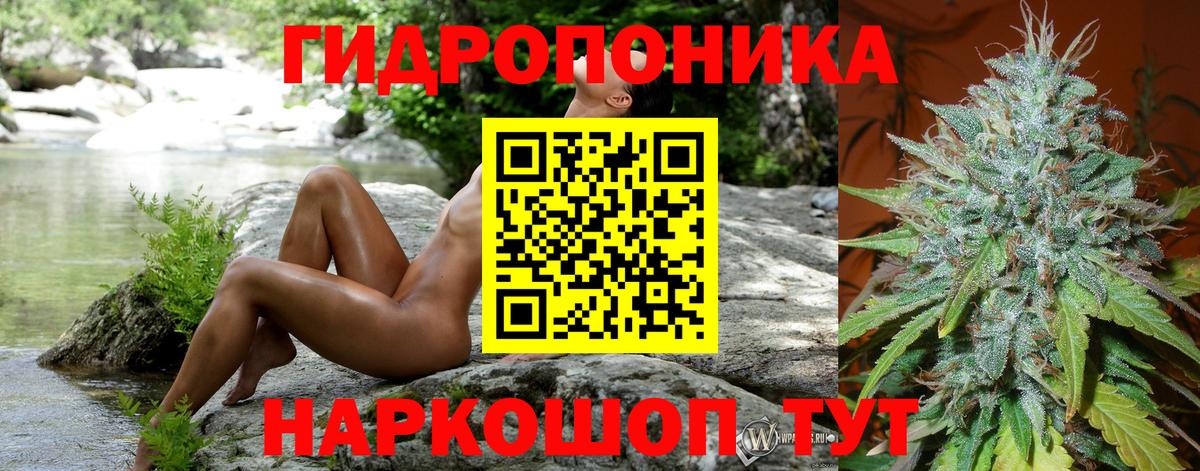 Марихуана сатива  Канабис Bruce Banner  МАРИХУАНА SATIVA & INDICA  Обь  Вход с VPN  Шишки марихуана VHQ 